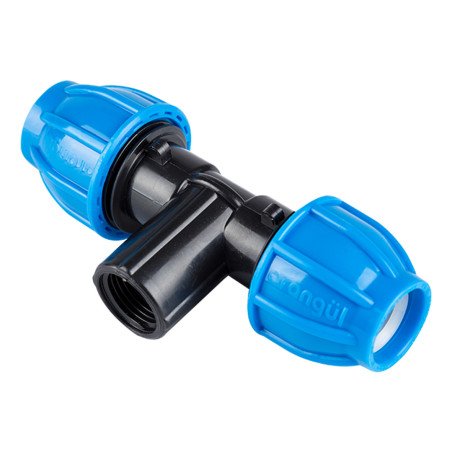 TE FEMELLE PP 50